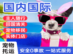 吐鲁番交河航空物流国际宠物托运 【国
